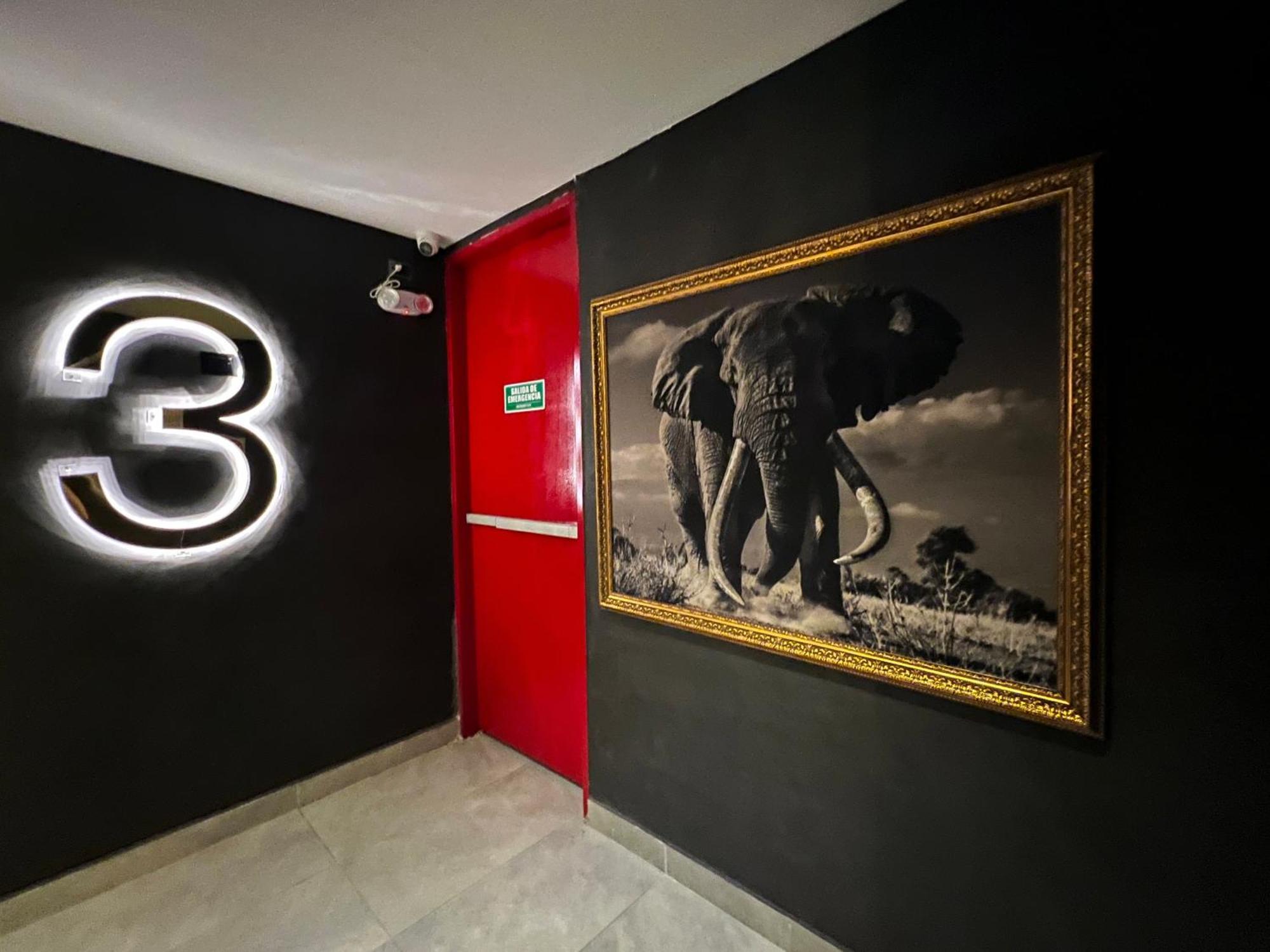 Hotel Zelva Negra Medellín Esterno foto